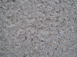 christchurch -2174.jpg